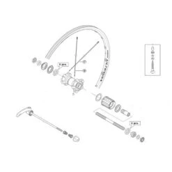 Rayon Shimano Ultegra WH6700 - Arrière (x1)